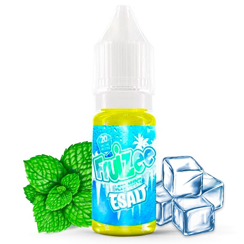 Ice Mint E-Salt 10ml - Fruizee