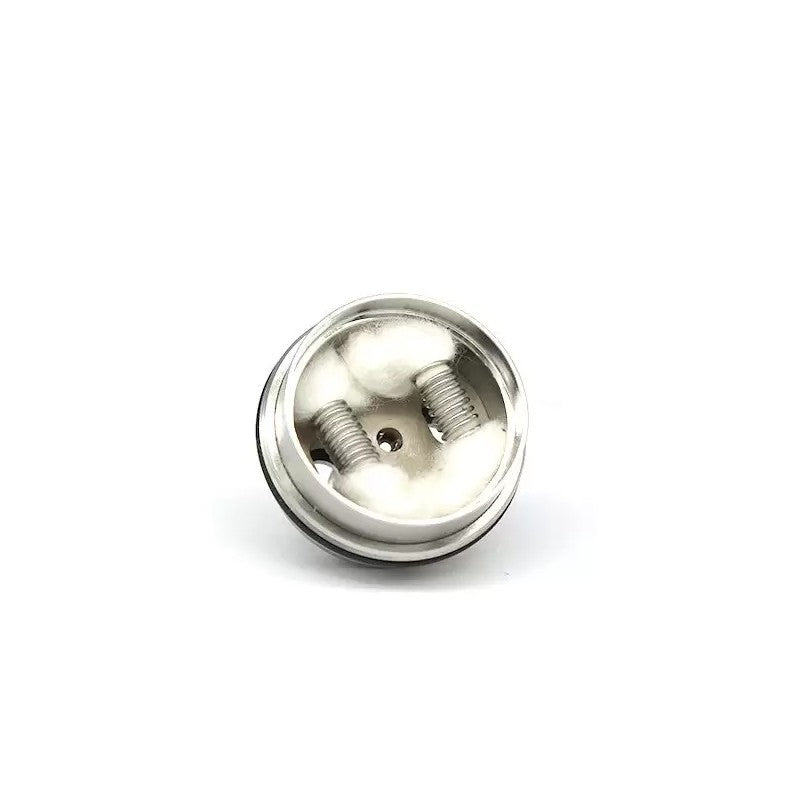 Résistances Innovator 0.3Ω (2pcs) - Kangerm