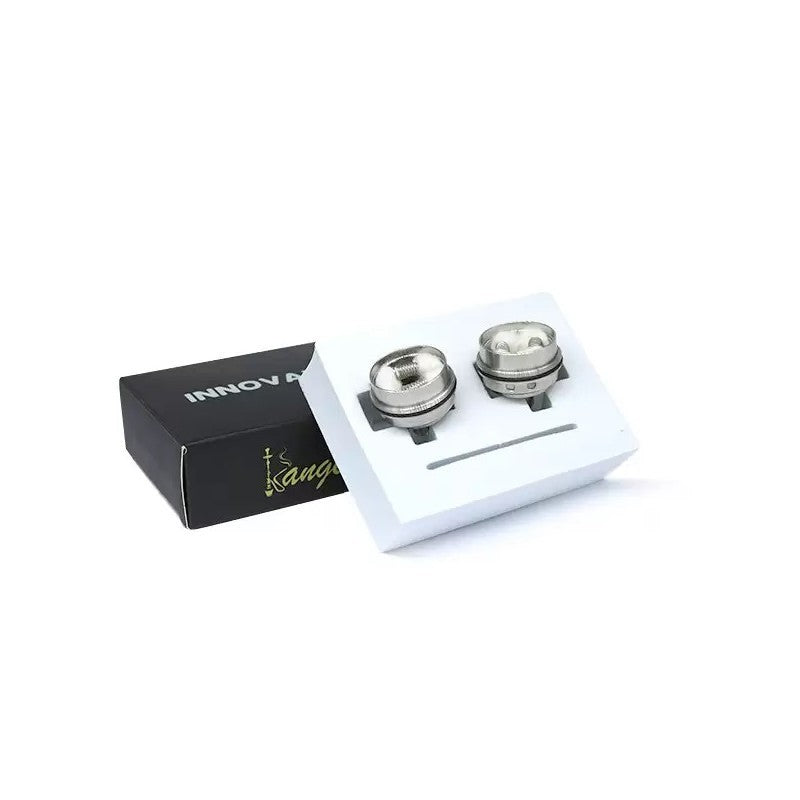 Résistances Innovator 0.3Ω (2pcs) - Kangerm