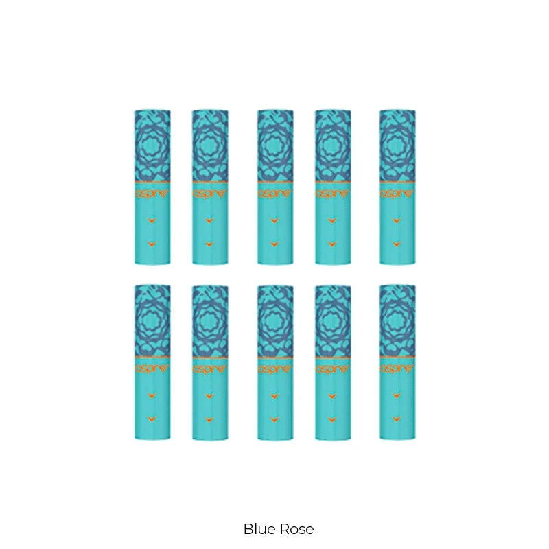 Pack 10 Filtres Vilter - Aspire