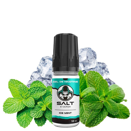 Ice Mint Salt E-Vapor 10ml - Le French Liquide