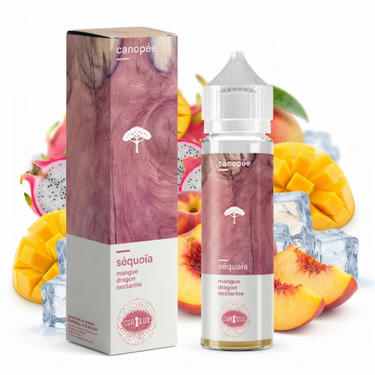 Sequoia Canopée 50ml - Curieux